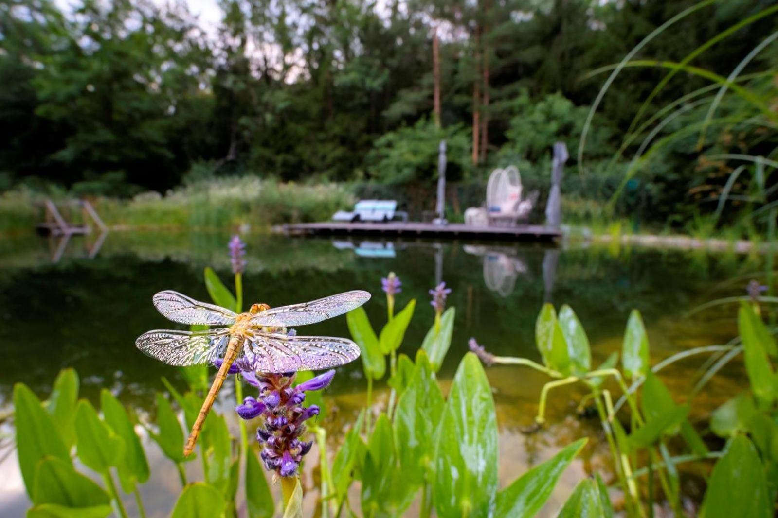 Flora Auf Gut Guntrams Hotel Schwarzau am Steinfelde Bagian luar foto